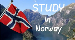 How to Apply for Norway Scholarship(Step by Step)